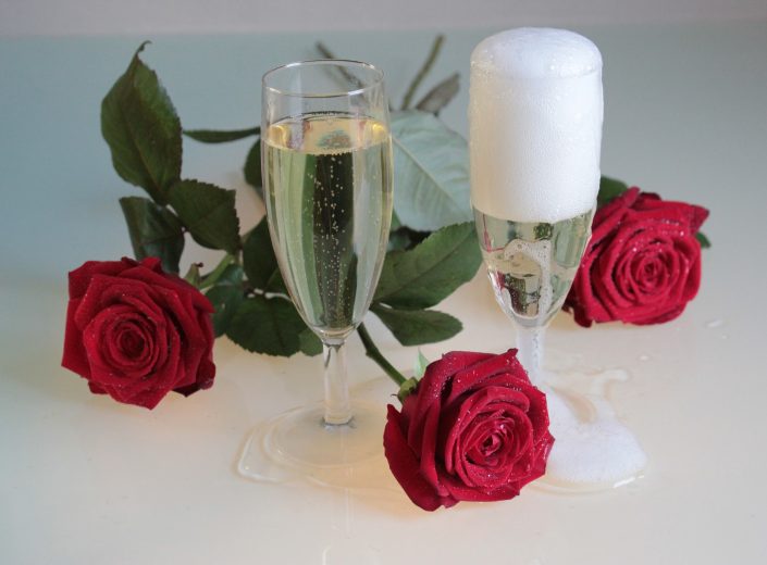 Canva – Close-up of Roses Against White Rose Canva - Close-up of Roses Against White Rose