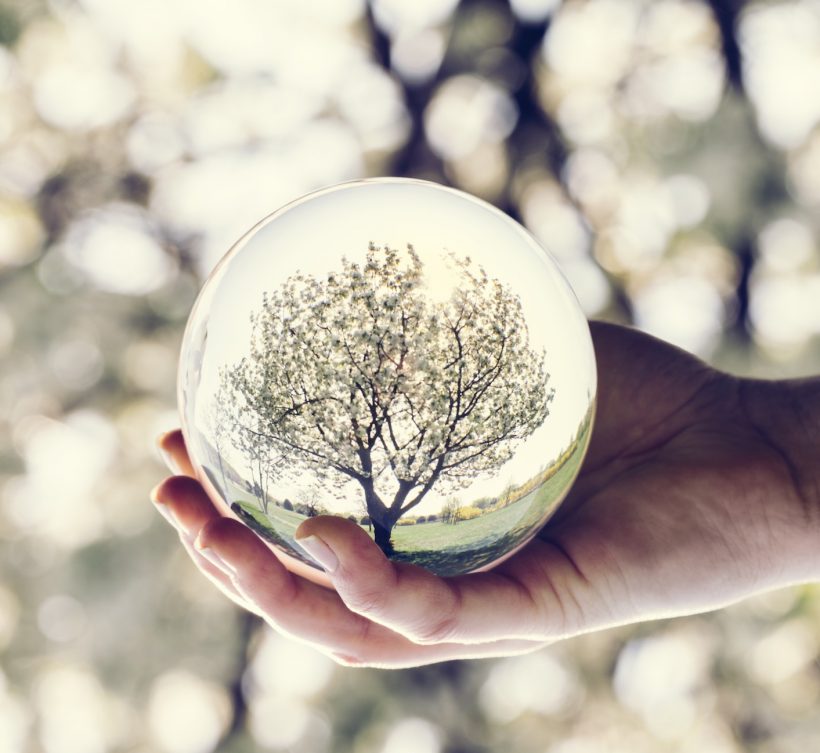 A tree reflection in a glass ball held by a woman. Nature. Saving the Earth.